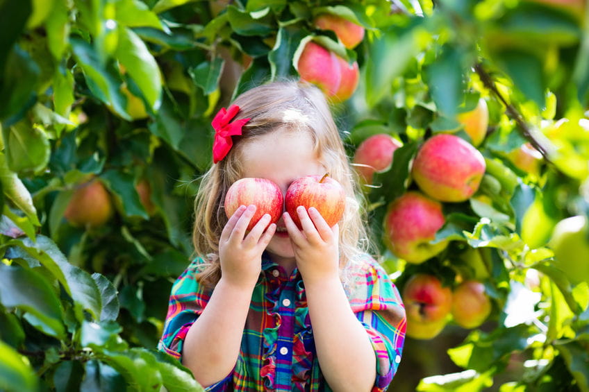 5 Low-Maintenance Fruit Trees to Consider Planting This Summer in San Diego