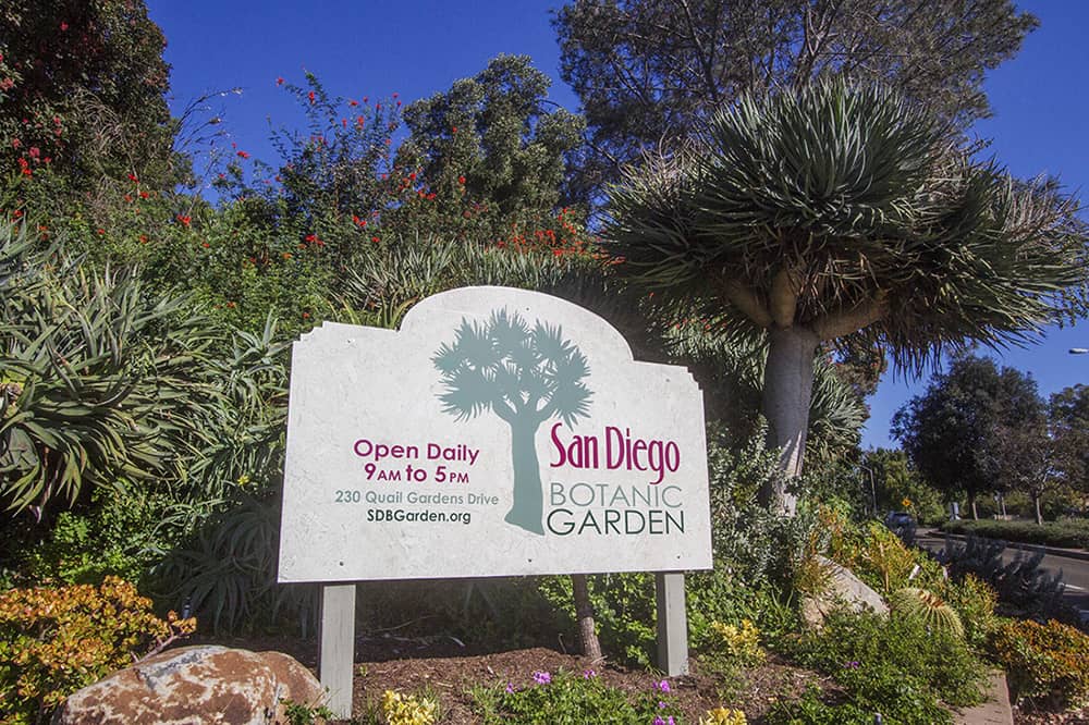 San Diego Electrician Gives Botanical Garden Expansion an Extra Spark