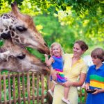 san diego zoo family activities